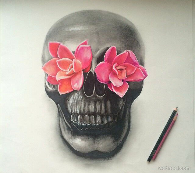 skull color pencil drawing