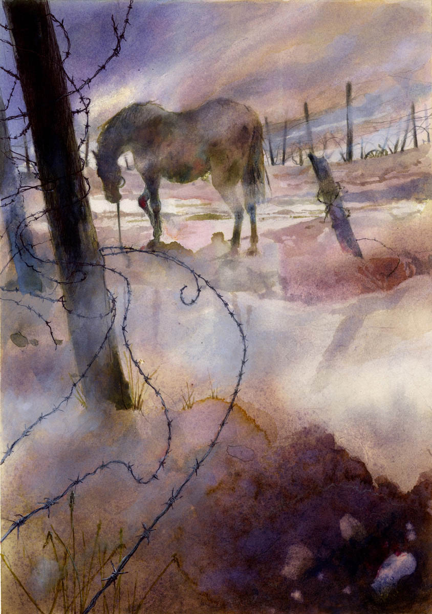 war horse book illustration