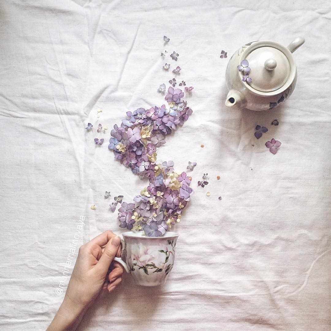floral tea story by marina malinovaya