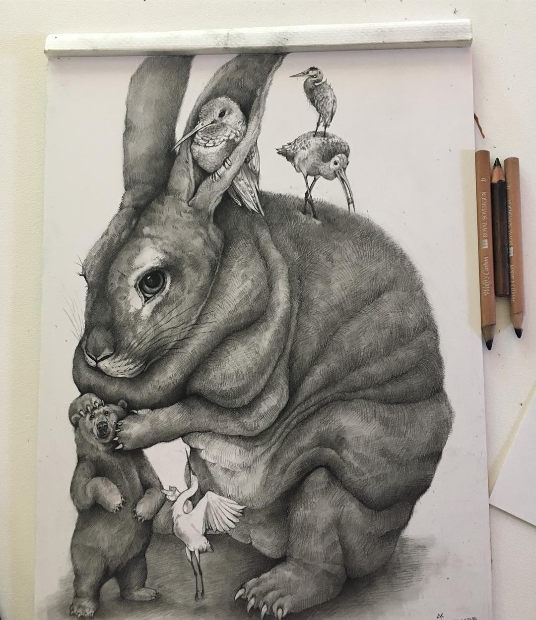 rabbit funny drawing