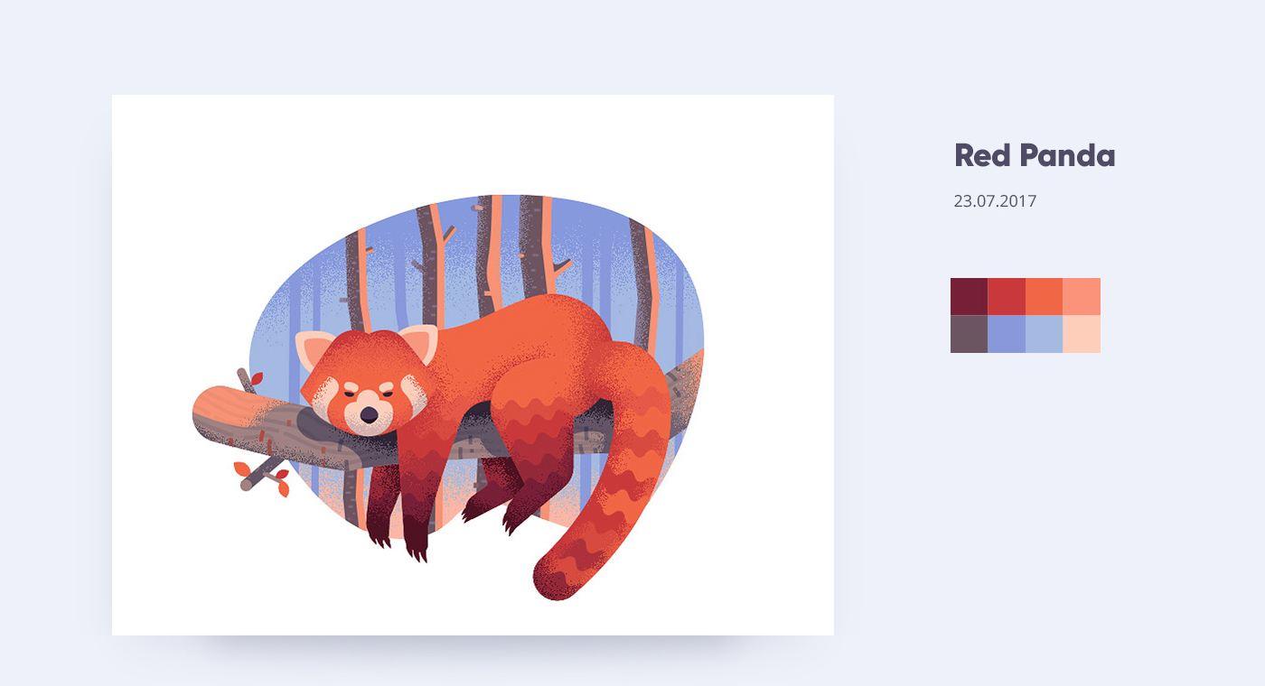 red panda illustration