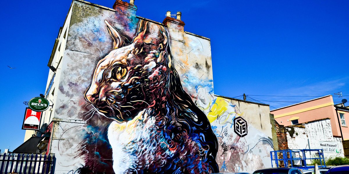 cat street art festival upfest