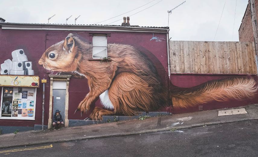squirrel street art festival upwork
