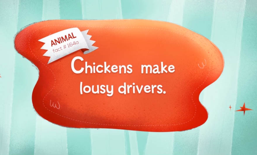 animal facts chicken animation