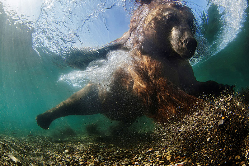 underwater photography mick kororstelev