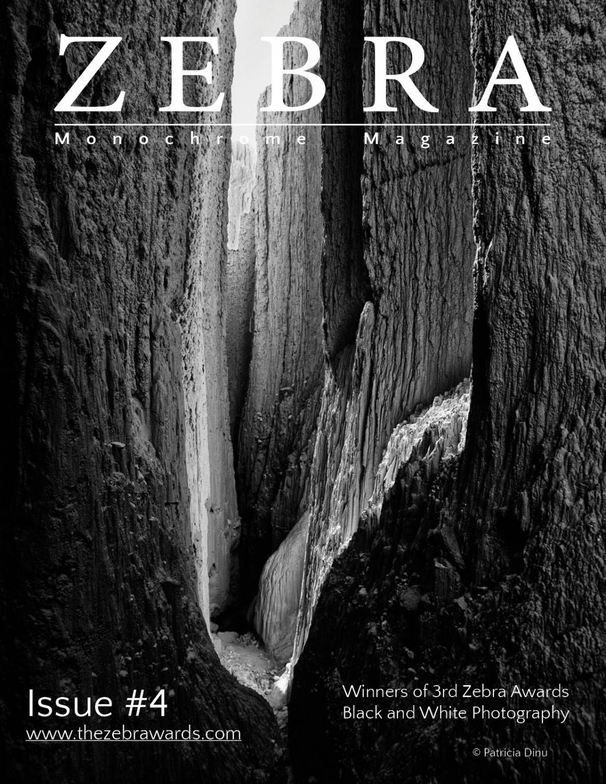 zebra awards monochrome magazine