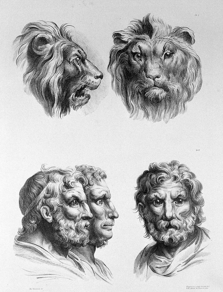 lion physiognomy humans evolution charles le brun