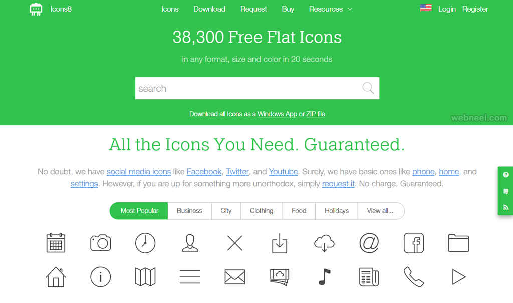 icon website