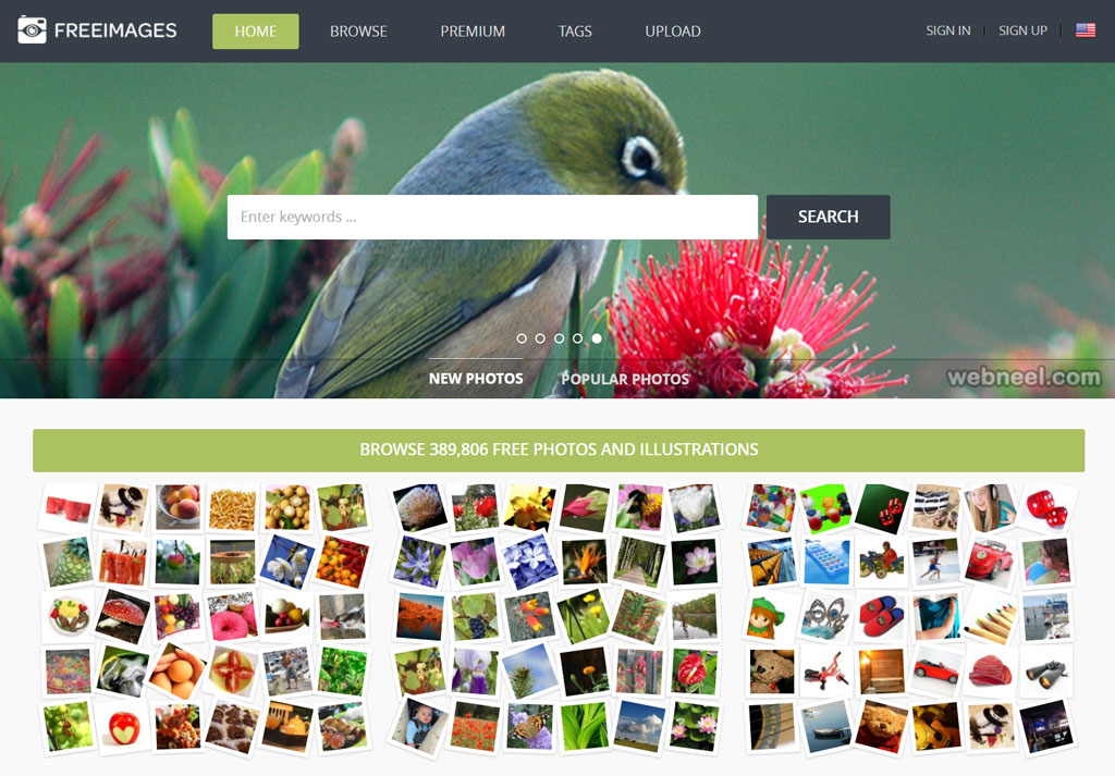 freeimages for web graphic designers